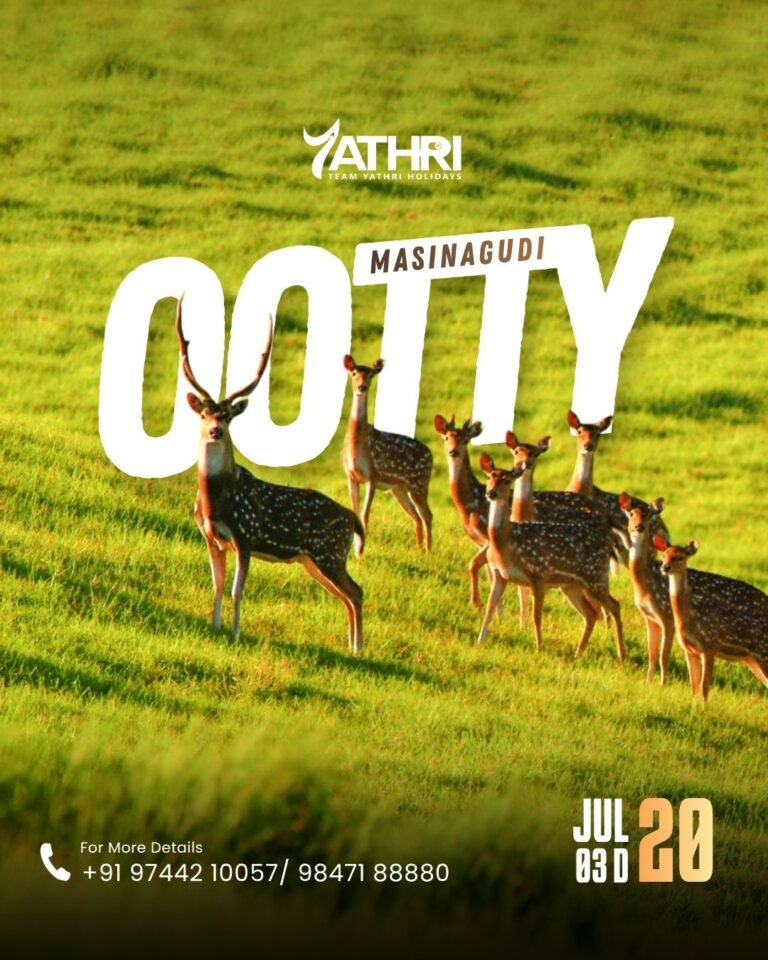 20 July Ooty Masinagudy The Ultimate 3-Day Tour Package: Wild Safaris to Misty Peaks