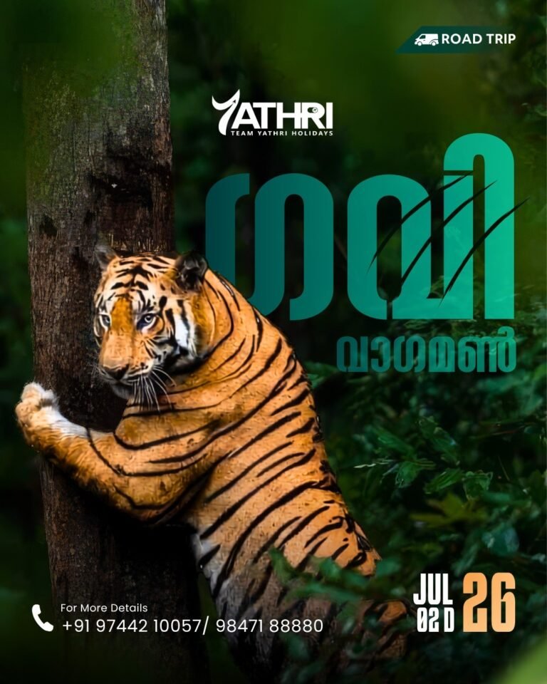 26 July Gavi Vagamon The Ultimate 2-Day Tour Package: Escape to Kerala’s Misty Forests