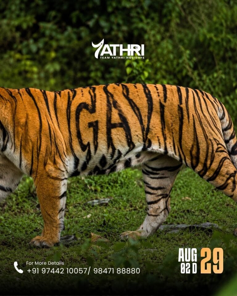 29 AUGUST GAVI SATHRAM TOUR